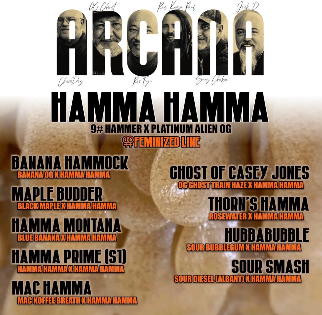 Arcana Hamma Hamma feminized seed line announcement featuring all nine strains